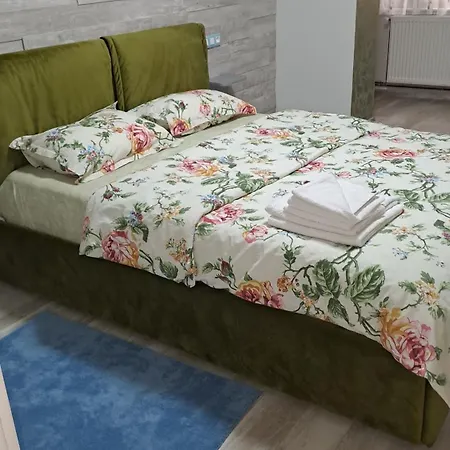 Safta Apartment Campulung